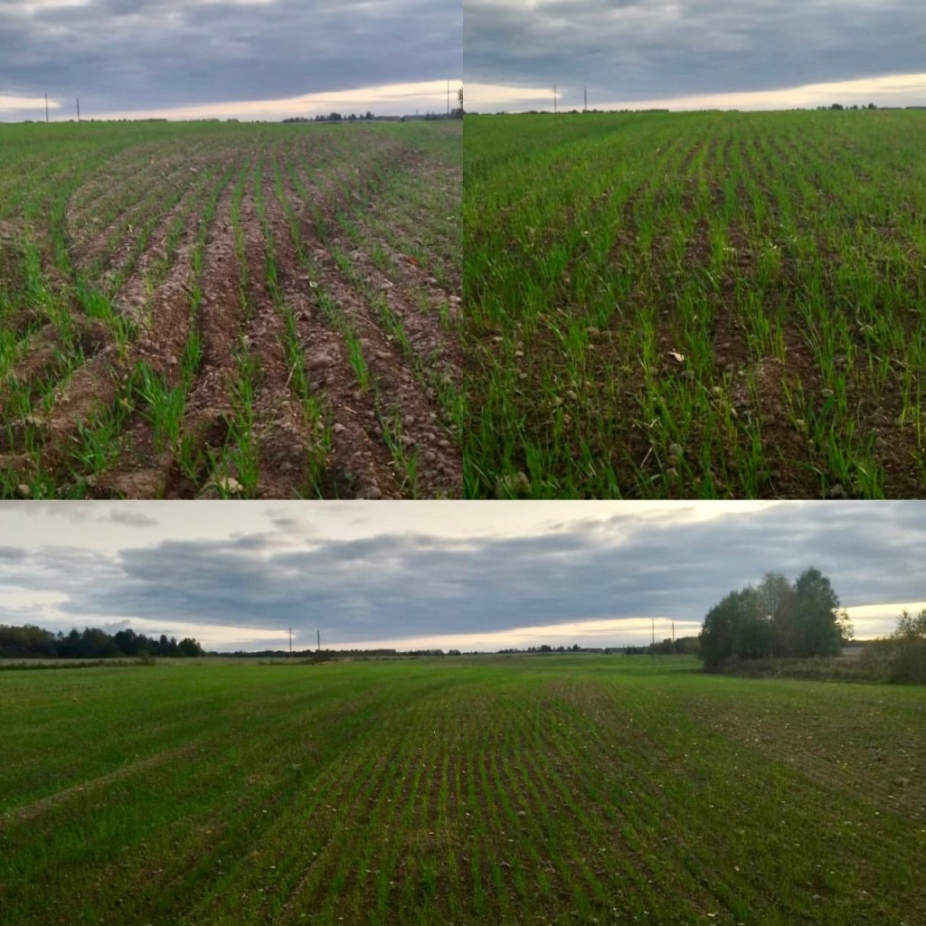 LgfXKb6QXIE.jpg