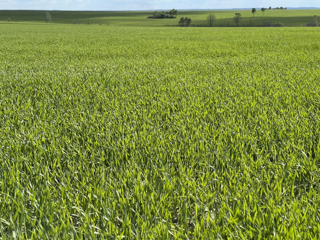 IMG_4857 (3).jpeg